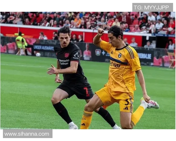 德甲精彩对决美因茨迎战霍芬海姆争夺关键三分