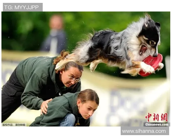 南京飞盘队与北京飞盘队赛后心理素质对比分析与反思