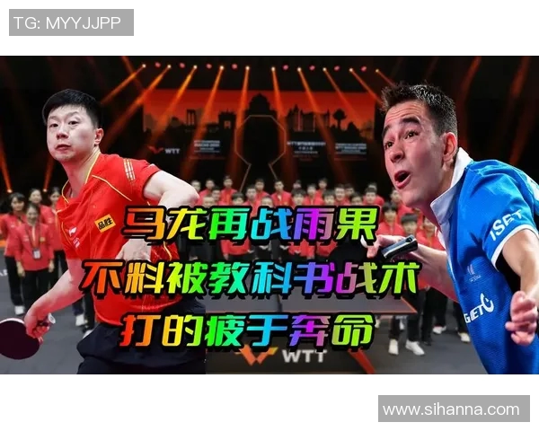 广州排球队阵地战打法深度解析与战术应用探讨