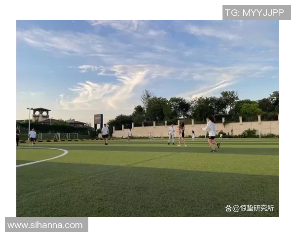 南京飞盘队速度表现分析与提升策略探讨