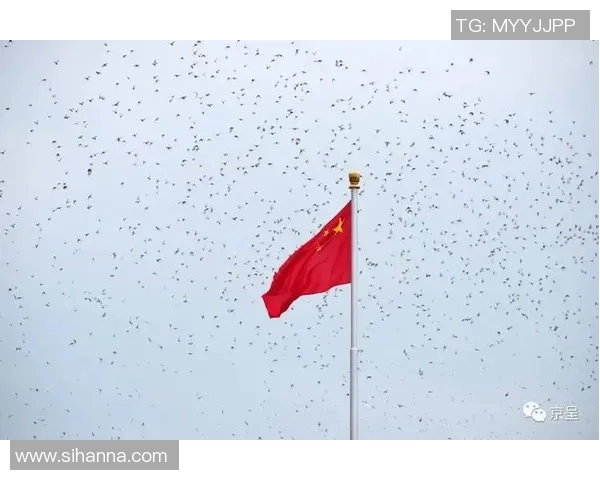 中国足球明星的辉煌岁月回忆视频合集带你重温激情瞬间与感动时刻 中国足球明星的辉煌岁月回忆视频合集带你重温激情瞬间与感动时刻
